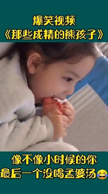 熊孩子爆料视频搞笑版,笑料百出,欢乐无限 第2张 熊孩子爆料视频搞笑版,笑料百出,欢乐无限 第2张